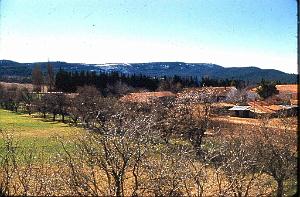 TELAGH FERME BOUGEON 03